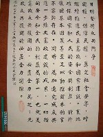 藏品(貫徹憲政目標)的圖片